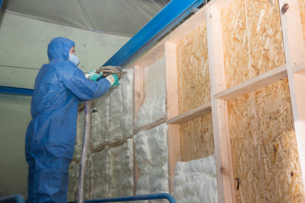 Best Spray Foam Insulation  in Wellsville, UT